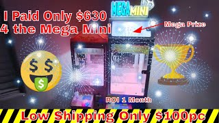 💰💵 Mega Mini vs Regular Mini 💰💵 MEGA MINI One Month ROI 💰💵 [upl. by Thorner]