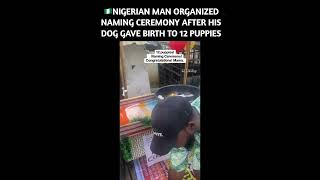 🇳🇬NIGERIAN MAN ORGANIZED NAMING CEREMONY AFTER HIS DOG GAVE BIRTH TO 12 PUPPIES [upl. by Zitvaa]