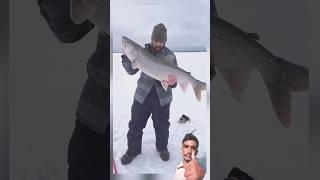 Fish lovercatfishfish shortvideo shorts bank fishing [upl. by Wahlstrom126]