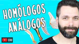 ÓRGÃOS HOMÓLOGOS E ANÁLOGOS  Evolução  Biologia com Samuel Cunha [upl. by Kciredorb]