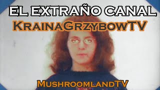 El extraño canal KrainaGrzybowTV MushroomlandTV [upl. by Newg]