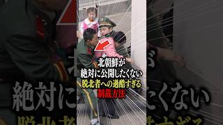 北朝鮮が絶対に公開したくない脱北者への過酷すぎる制裁方法 北朝鮮 金正恩 [upl. by Shalom]