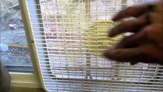 Homemade AC For 30  How To Make A Cheap Evaporative Cooler [upl. by Ellatsyrc992]