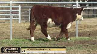 LOT 21 KYLANDEE CORISANDE U061 H [upl. by Nniuq496]