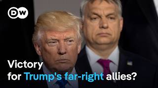 How European leaders are reacting to Trumps presidential win  DW News [upl. by Pittel465]