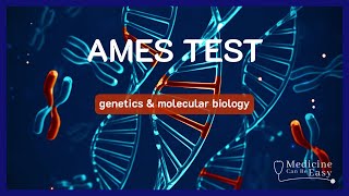 Ames Test  NOTES [upl. by Wickner]