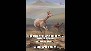 World History Chapter 2 Part 1 The Ice Age  PREHISTORY [upl. by Beckett]