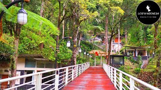 Lake Toba trip EP1The Taman Simalem Resort [upl. by Alviani901]