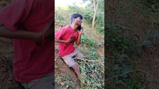 😱viralvideo Vijay Rangeela comedy funny sad youtubeshorts shortvideo bhojpuri [upl. by Fosque606]