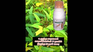 Ulundu Karamani herbicide from 17 days to 25 days agriplantation [upl. by Newg]