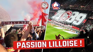 Les chants du LOSC  ULTRAS DVE Dogues Virage Est  DERBY LilleLens [upl. by Toft79]