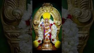 நித்தமும் பாலிலே  santhanam mana  tms  Seerkazhi Govindarajan  Murugan songs [upl. by Larner]