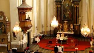 Neseme Pane chléb a víno  schola Pozořice quotPošukovquot svatba Jany a Mirka1192010 [upl. by Basilius]