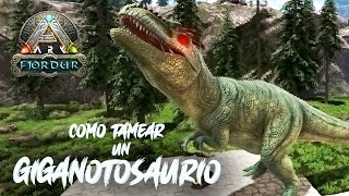 COMO TAMEAR un GIGANOTOSAURUS en ARK 2024 [upl. by Keenan855]