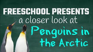 Why Arent There Penguins in the Arctic FreeSchool Presents a Closer Look at Arctic Penguins [upl. by Jaco]