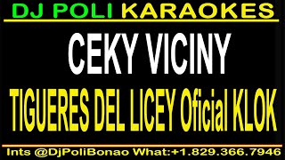 TIGRES DEL LICEY OFICIAL KLOK KARAOKE CEKY VICINY PELOTA DOMINICANA [upl. by Webster]