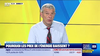 Doze déconomie  Pourquoi les prix de lénergie baissentils [upl. by Dranreb]