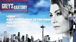 Greys Anatomy Soundtrack  quotFun Fun Funquot by The Beach Boys 14x04 [upl. by Von]