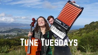 Tune Tuesday 9  Mistakes Lake Street Dive [upl. by Nomead]