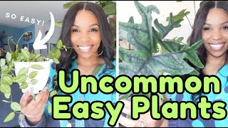 Easy Plants you Havent seen 100 times [upl. by Sloatman]