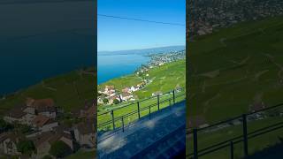 Lavaux Vineyards near Montreux Switzerland 🇨🇭 [upl. by Nerdna948]