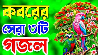 কবরের খুবই দুঃখের সেরা ৩টি বাংলা নতুন গজল শিল্পী ছারিম আহমেদ Viralgojol dukhergojol [upl. by Larimor]