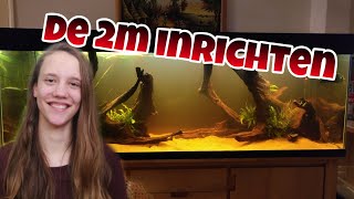 2m AQUARIUM INRICHTEN en eerste vissen erin Nickey [upl. by Sedruol862]