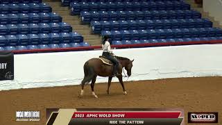 2023 ApHC WORLD SHOW  RIDE THE PATTERN DEMO [upl. by Wolram]