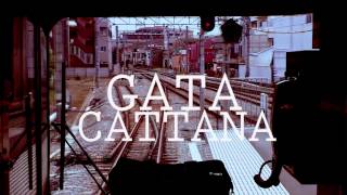 Gata Cattana  Atlanta [upl. by Matias]