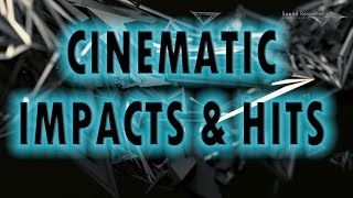 Disturb  Cinematic Impacts Hits amp Strikes SFX [upl. by Silverts]