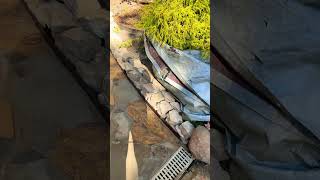 Custom 3” stone retaining wall and flagstone walkway retainingwall flagstone diy beauty life [upl. by Aihsatan]