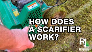 HOW DOES A SCARIFIER WORK  RICH LAWNS [upl. by Adlesirhc]