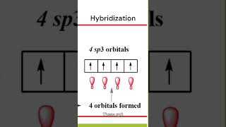 Hybridization in Carbon chemistry carbon hybridisation [upl. by Finbar]