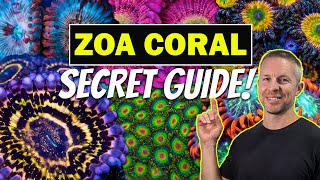 ZOA CORALS SECRET GUIDE TO SUCCESS [upl. by Klepac]