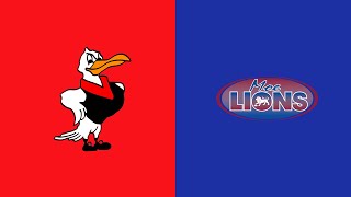 Warragul vs Moe  Full Match  Gippsland League 2024 [upl. by Natsreik]