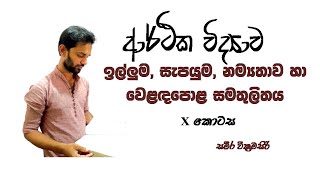 Economics Demand Supply Elasticity and Market Equilibrium Part X Sinhala සැපයුම් නම්‍යතාවය [upl. by Eimyaj]