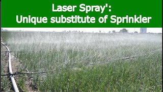 Irrigation with Laser Spray Rain pipe Rain hose [upl. by Melmon]