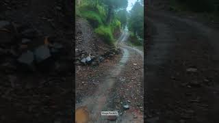 Morning Walk Off Road Track Village Abbottabad Hazara  Hidden Natural places of Pakistan hiking [upl. by Kayle]