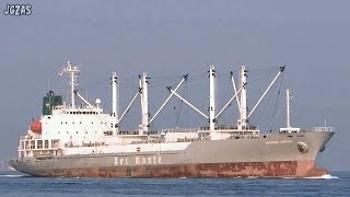 Shipspotting Japan  MV ARACENA CARRIER Reefer cargo ship 冷凍貨物船 Osaka Port 大阪港 2014MAR [upl. by Marguerite]