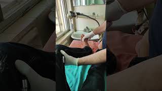 Demonstration of ankle clonus [upl. by Siraved]