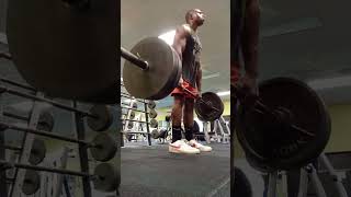 Raw Deadlift 405 lb × 22 pause reps Deadstops No belt bodyweight 217 lbs PR [upl. by Ahsit]