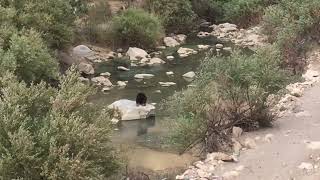 A Kurdish shipped praying on a rock in water stream [upl. by Reiss]