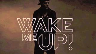 Avicii vs Emeli Sandé  Wake me up vs Next to me RobbC Mashup [upl. by Eedya]