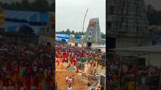 Masaniamman kovil kodiyetram 2024 pollachi masani masaniamman [upl. by Uttica]