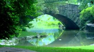 Massenet  Meditation  Sir James Galway [upl. by Mika]