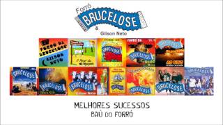 ESPECIAL FORRÓ DA BRUCELOSE  MELHORES SUCESSOS [upl. by Aseen648]