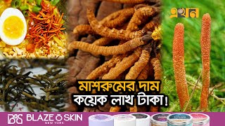 কেন এই মাশরুমের এতো দাম  Expensive Mushroom  Ekhon TV [upl. by Barret]