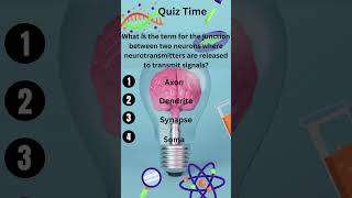 The term for the junction between two neurons quiz medical medicalquiz neuroscience [upl. by Charline923]