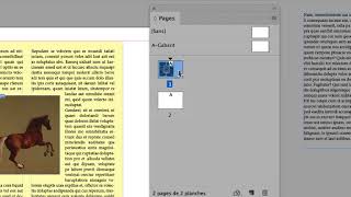 part 03 habillage de texte dans InDesign avec des images détourées ou pas [upl. by Thurmond485]