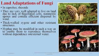 Land Adapatations of Fungi fsc  Biology Fungi Online Classes [upl. by Bartlett]